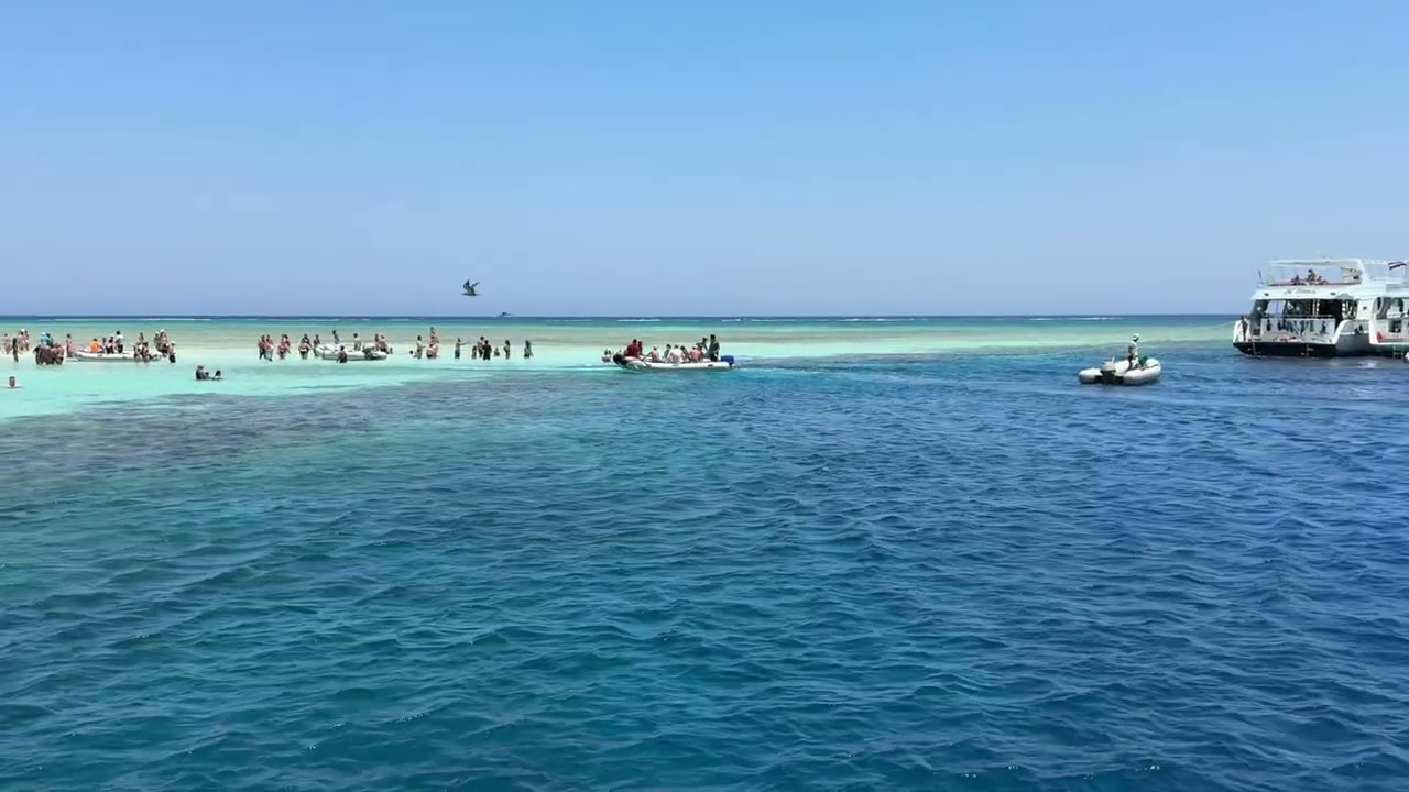 Why arrival timing on White Island marks the difference between dry sand and knee-deep water
