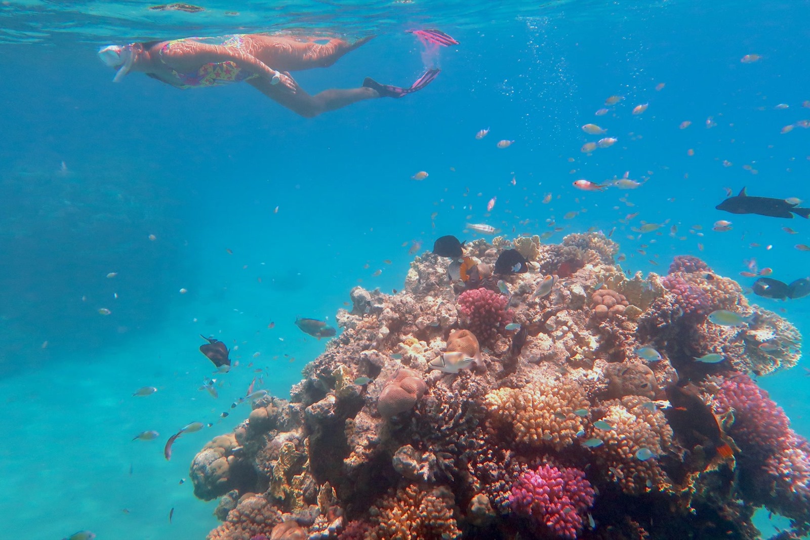 Dahab, Blue Hole and Colored Canyon - view 4